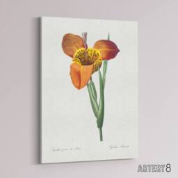 "Artery8 Tiger Flower Botanical Redoute Vintage Canvas Wall Art in White - Size: W18"" x H24""" - thumbnail 2