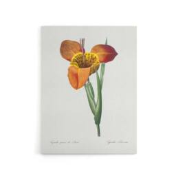 "Artery8 Tiger Flower Botanical Redoute Vintage Canvas Wall Art in White - Size: W18"" x H24""" - thumbnail 1