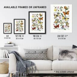 Artery8 Paul Gervais Moths Butterflies & Morning Glory Framed Wall Art Print in White - Size: A4 - thumbnail 3