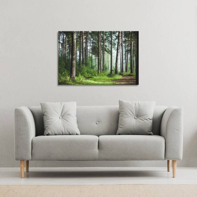Benjamin Tate Design Beautiful summer forest with different trees (Canvas Print) / 61 x 41 x 4cm in Natural - Size: 61 x 41 x 4 cm - image 1