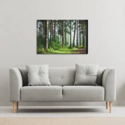 Benjamin Tate Design Beautiful summer forest with different trees (Canvas Print) / 61 x 41 x 4cm in Natural - Size: 61 x 41 x 4 cm - thumbnail 1