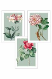ARTZE Set of 3 Vintage Flowers Honeysuckle, Peony on Sage Green Art Posters in Pale Green - Size: W50 cm x H70 cm - thumbnail 1