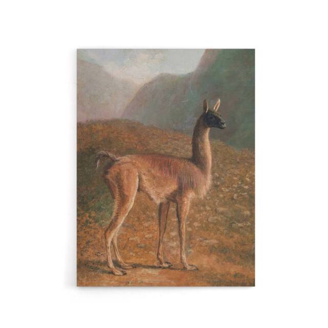 "Artery8 Guanaco Llama in Mountain Landscape Agasse Canvas Wall Art - Size: W18"" x H24""" - image 1