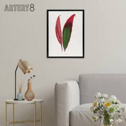 "Artery8 AF Lydon Benjamin Fawcett Cordyline Fruticosa Leaf Framed Canvas Art in White - Size: W12"" x H16""" - thumbnail 3