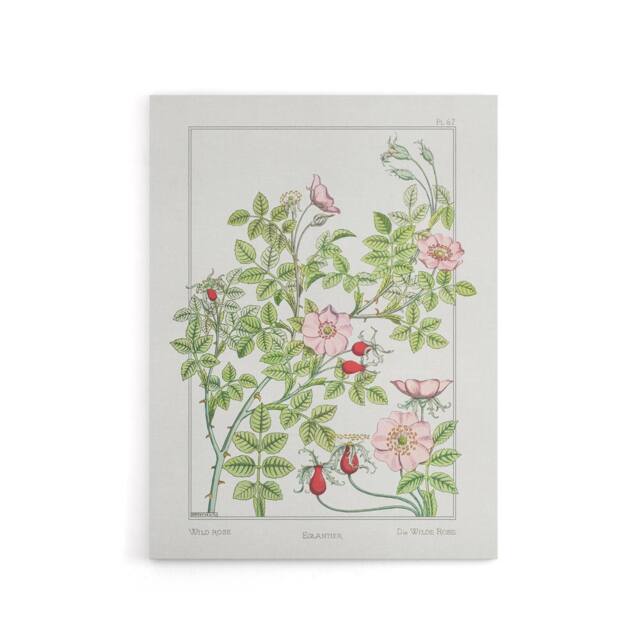 "Artery8 Wild Rose Flower Canvas Wall Art Print Vintage Floral Verneuil in White - Size: W18"" x H24""" - image 1