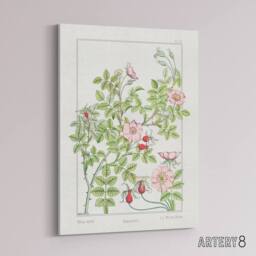 "Artery8 Wild Rose Flower Canvas Wall Art Print Vintage Floral Verneuil in White - Size: W18"" x H24""" - thumbnail 2