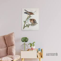 "Artery8 Red Shouldered Hawk Audubon Nature Canvas Wall Art in White - Size: W18"" x H24""" - thumbnail 3