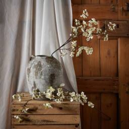 Lemon Pavilion Furniture and Decor Artificial Japanese Blossom - Plastic - L6 x W8 x H130 cm - White - thumbnail 3