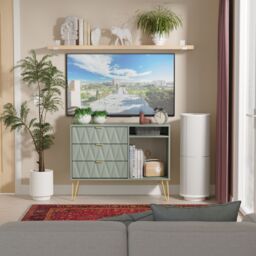 Ready Assembled 2 U Dallas 3 Drawer TV Unit (Ready Assembled) in Pale Green