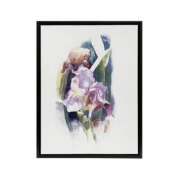 "Artery8 Purple Iris Flower Watercolour Demuth Framed Canvas Wall Art Print in White - Size: W12"" x H16""" - thumbnail 1
