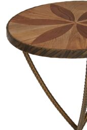 Orsina Elm Small Side Table, Brass Finished Table by Couch, Wooden End Side Table For Outdoor Patio, Settee Side Table in Brown - thumbnail 4