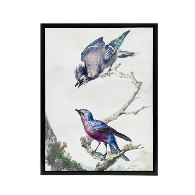 "Artery8 Blue Jay & a Purple Breasted Cotinga Schouman Framed Canvas Wall Art in White - Size: W12"" x H16""" - image 1