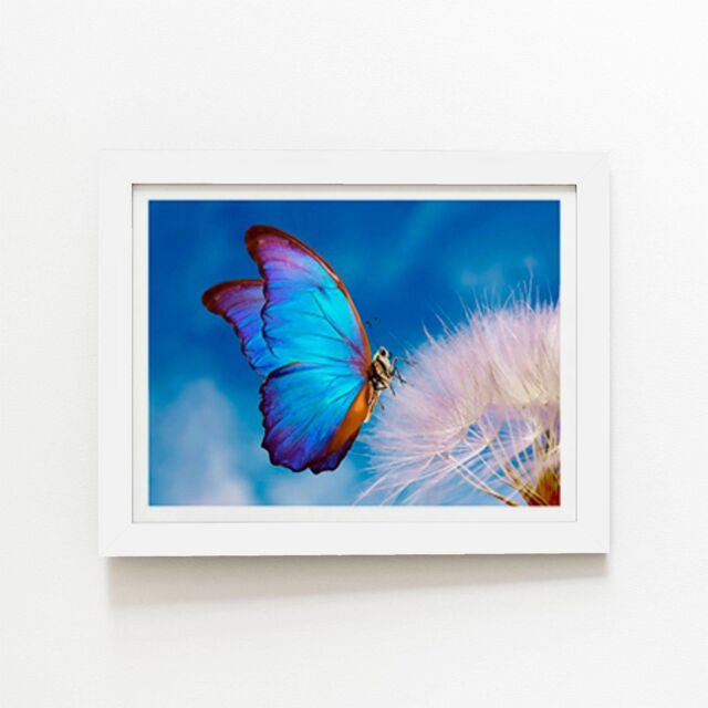 "Warren Reed - Designer Butterfly & Dandelion Framed Art Print in White - Size: W8"" x H10""" - image 1