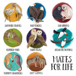 Afewhometruths Mates for Life Gift for Couples Puffin Love Cushion - Anniversary, Wedding Gift in Off-White - Size: 40 cm x 40 cm - thumbnail 2