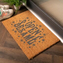 Artsy Mats Magical Open Sesame Grey Doormat in Black - Size: 40 cm x 60 cm - thumbnail 1