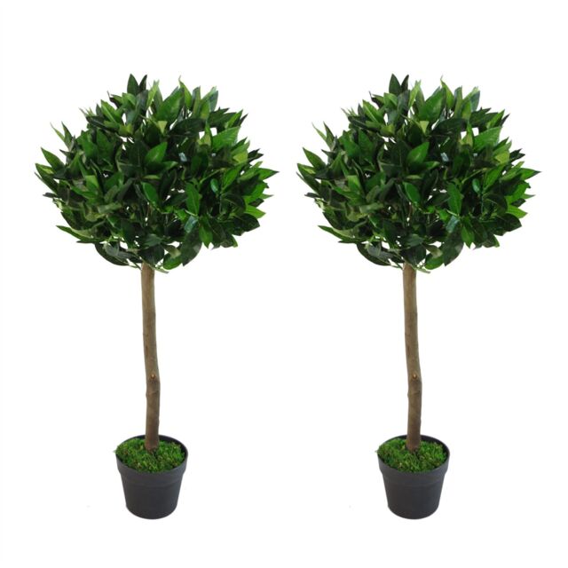 Leaf Pair of 90cm (3ft) Plain Stem Artificial Topiary Bay Laurel Ball Trees in Green - image 1