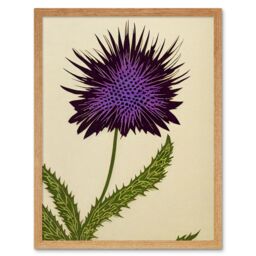 "Artery8 Wall Art Print Stylized Modern Purple Scottish Thistle Flower Art Framed in Light Oak - Size: W12"" x H16""" - thumbnail 1