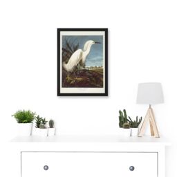 Artery8 Painting Bird Audubon Snowy Heron Egret Artwork Framed Wall Art Print A4 in Black - thumbnail 2