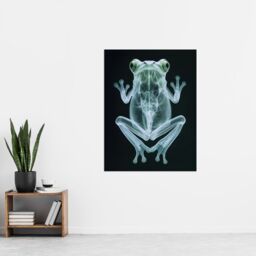 "Artery8 Frog Teal Green Dark Luminescent Xray Effect Wall Art Print in Black - Size: W18"" x H24""" - thumbnail 4