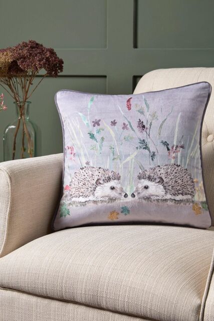 Dreams & Drapes 'Colville Hedgehog' Velvet Filled Cushion in Grey - Size: 43 cm x 43 cm - image 1