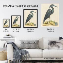 "Artery8 Blue Heron Natural History Illustration Catesby Wall Art Poster Print in Beige - Size: W18"" x H24""" - thumbnail 3