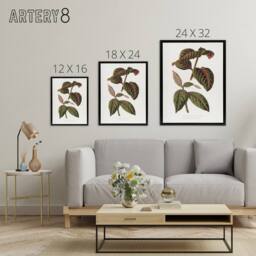 "Artery8 AF Lydon B Fawcett Eranthemum Sanguinolentum Leaves Framed Canvas Art in White - Size: W12"" x H16""" - thumbnail 4