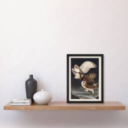 Artery8 John James Audubon Framed Wall Art Print Birds of America Barn Owl in Grey - Size: A3 - thumbnail 2