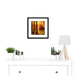 Artery8 Forest Sunset Nature Photograph 8X8 Inch Square Wooden Framed Wall Art Print Picture with Mount in Black - thumbnail 2