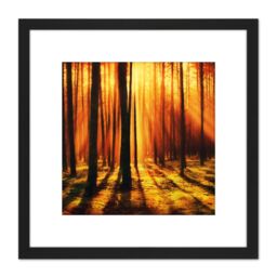 Artery8 Forest Sunset Nature Photograph 8X8 Inch Square Wooden Framed Wall Art Print Picture with Mount in Black - thumbnail 1