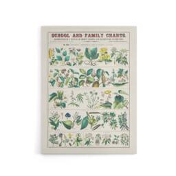 "Artery8 School & family charts No XXII Calkins Canvas Wall Art Print in White - Size: W12"" x H16""" - thumbnail 1