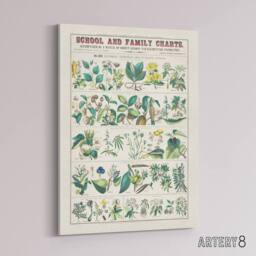 "Artery8 School & family charts No XXII Calkins Canvas Wall Art Print in White - Size: W12"" x H16""" - thumbnail 2