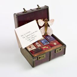 Menkind Harry Potter Magical Trunk Charming Surprises Advent Calendar in Brown - thumbnail 4