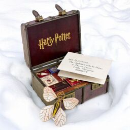 Menkind Harry Potter Magical Trunk Charming Surprises Advent Calendar in Brown