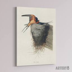 "Artery8 Birds of America Barn Swallow Audubon Nature Canvas Wall Art in White - Size: W18"" x H24""" - thumbnail 2