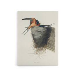 "Artery8 Birds of America Barn Swallow Audubon Nature Canvas Wall Art in White - Size: W18"" x H24""" - thumbnail 1