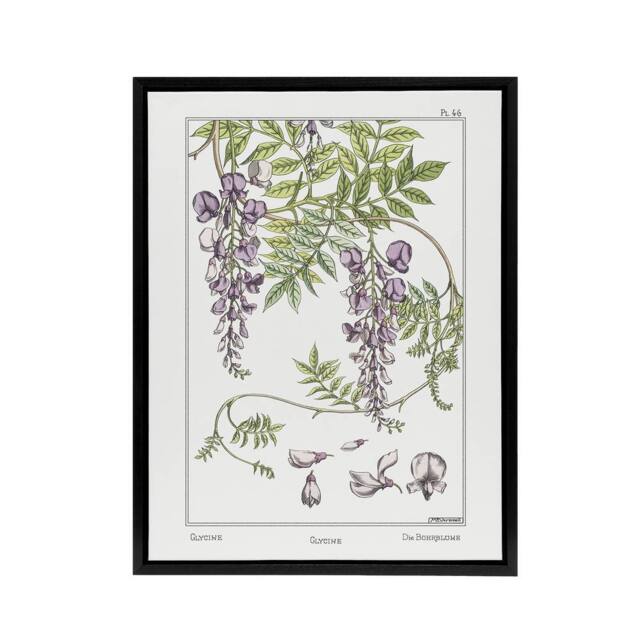 "Artery8 Wisteria Flower Framed Canvas Wall Art Print Vintage Floral Verneuil in White - Size: W12"" x H16""" - image 1