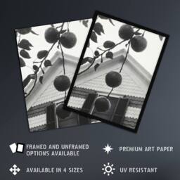 "Artery8 Gable & Apples Photograph Alfred Stieglitz Wall Art Poster Print in Grey - Size: W18"" x H24""" - thumbnail 2