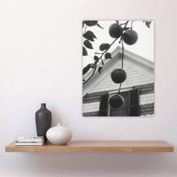 "Artery8 Gable & Apples Photograph Alfred Stieglitz Wall Art Poster Print in Grey - Size: W18"" x H24""" - thumbnail 4