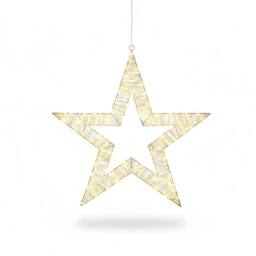 Pegdev Outdoor Christmas LED Metal Star 100 Micro Lights Silver Frame 54cm