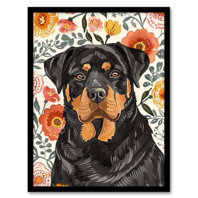 "Artery8 Rottweiler Dog Lover Bright Floral Pet Portrait Framed Wall Art - Size: W12"" x H16""" - image 1