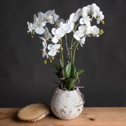 Lemon Pavilion Furniture and Decor Orchid in Stone Pot Artificial Flower - L46 x W46 x H70 cm - White - thumbnail 3