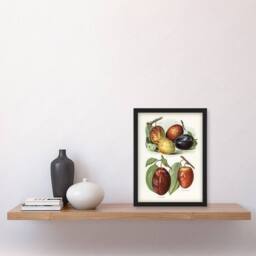 Artery8 Plum Varieties Vintage illustration Wright Framed Wall Art Print in White - Size: A4 - thumbnail 4