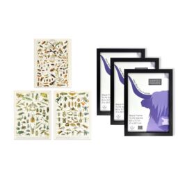 Artery8 A4 Wall Art & Frame Set of 3 Insects & Beetles Vintage Millot - thumbnail 5
