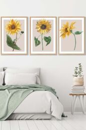 ARTZE Set of 3 Oak Framed Vintage Sunflowers on Beige Wall Art in Bright Yellow - Size: W33 cm x H45 cm x D20mm - thumbnail 1