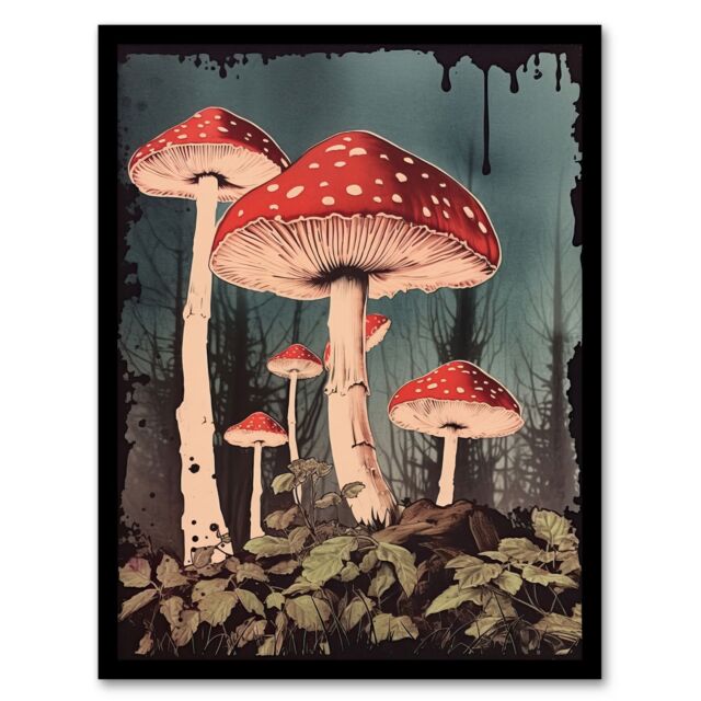 Artery8 Vintage Fly Agaric Fairy Mushroom Toadstool Earthy Aesthetic Kitchen Artwork Framed Wall Art Print A4 in Black - image 1