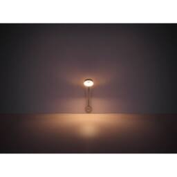 Netlighting Lehovo Reading Wall Light Silver Colored LED Dimmable 3000K - thumbnail 5