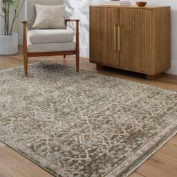 Livabliss Galey Alix Myrtle Avenue VI-Vintage Brown Green Grey Traditional Boho Fringe Living Rug - Size: 160 cm x 230 cm - thumbnail 1