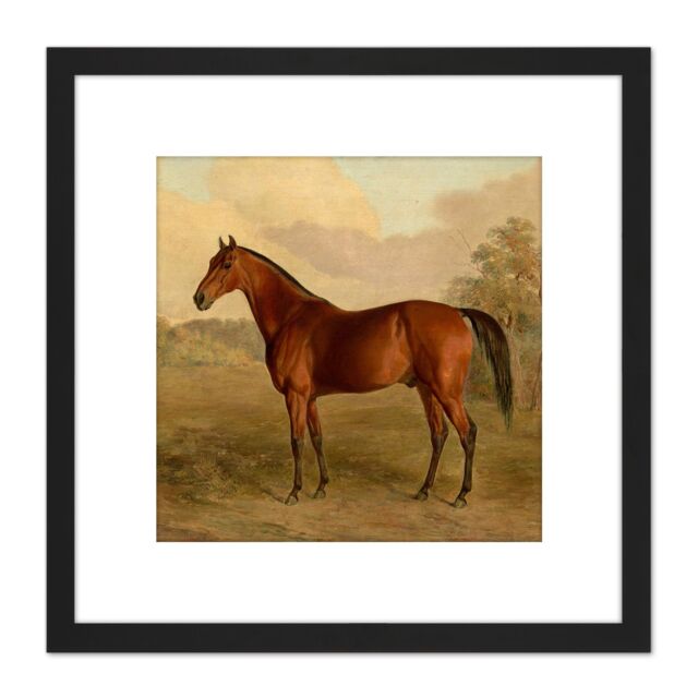 Artery8 Troye Kentucky Woodpecker 1834 Brown Horse Painting 8X8 Inch Square Wooden Framed Wall Art Print Picture with Mount in Black - image 1