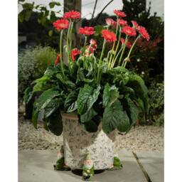 Jardinopia Sleeping Gnome Plant Pot Feet - Set of 3 in Green - thumbnail 2