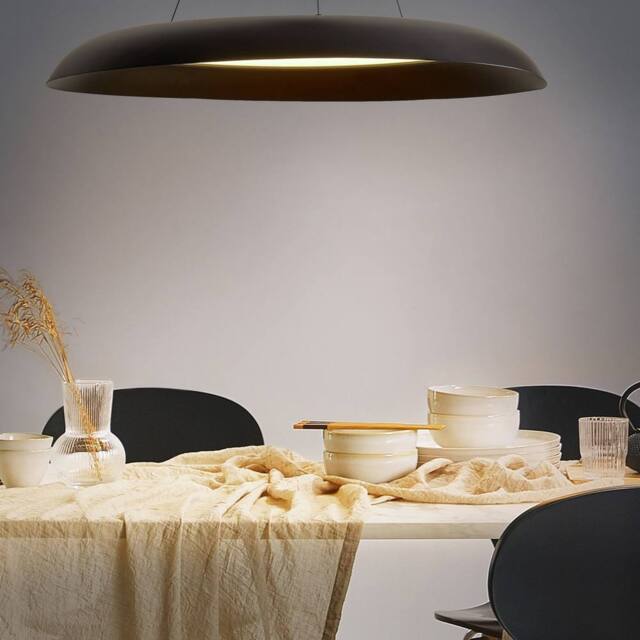 Wyld and Coco Black Metal Pendant Lamp with Integrated LED Ring - image 1